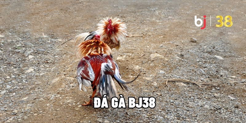 da ga bj38 1